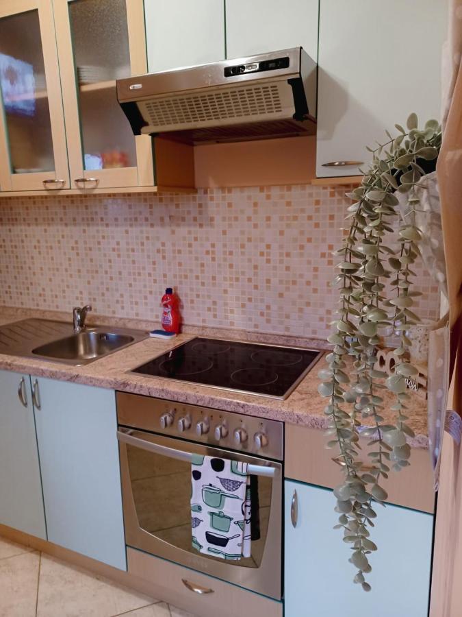 Adriatic Oasis Apartments 普莱克 外观 照片